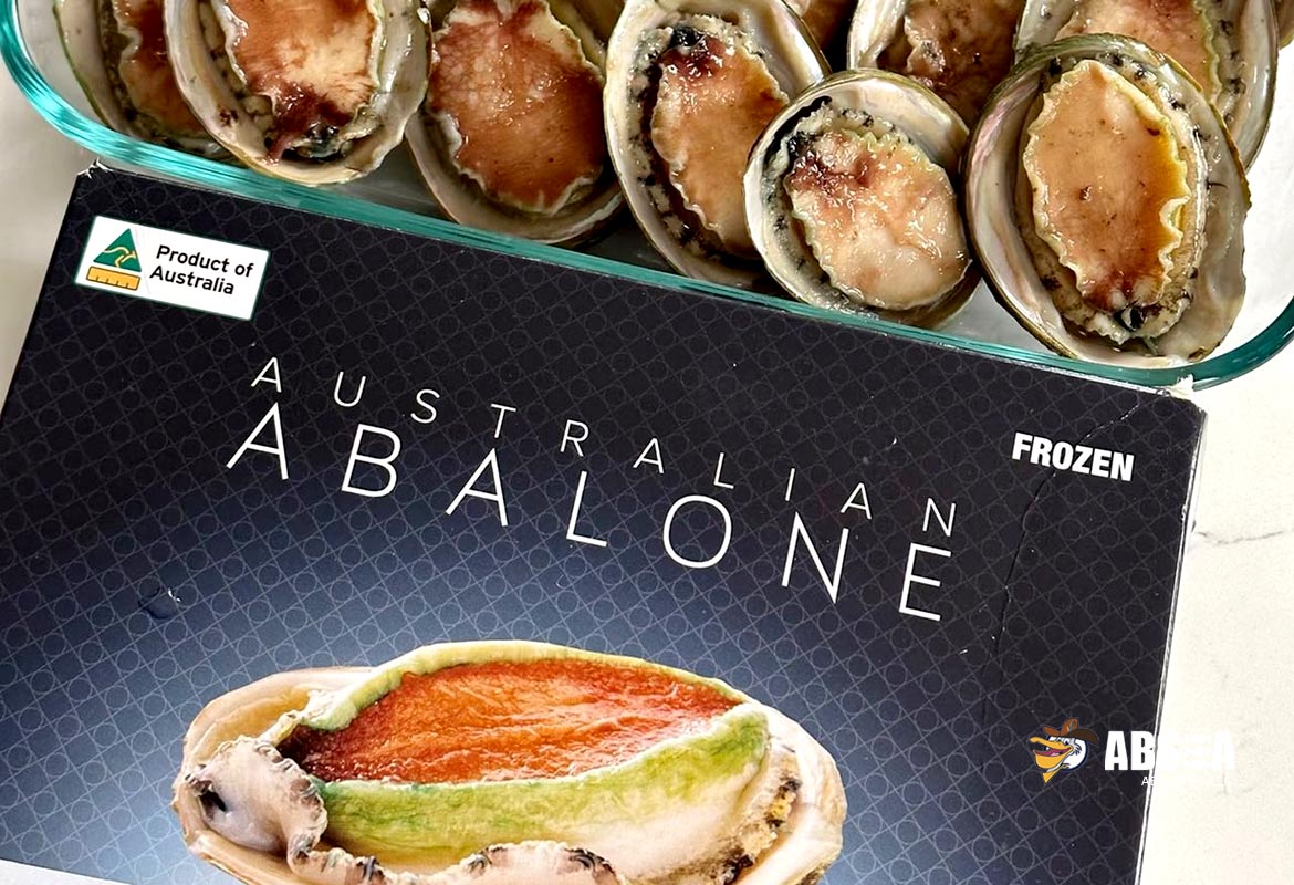 Australian greenlip abalone