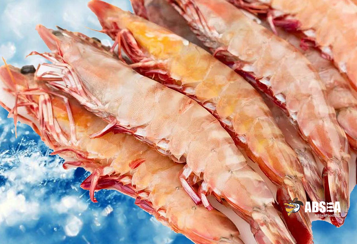 Australian Wild Caught Tiger Shrimp