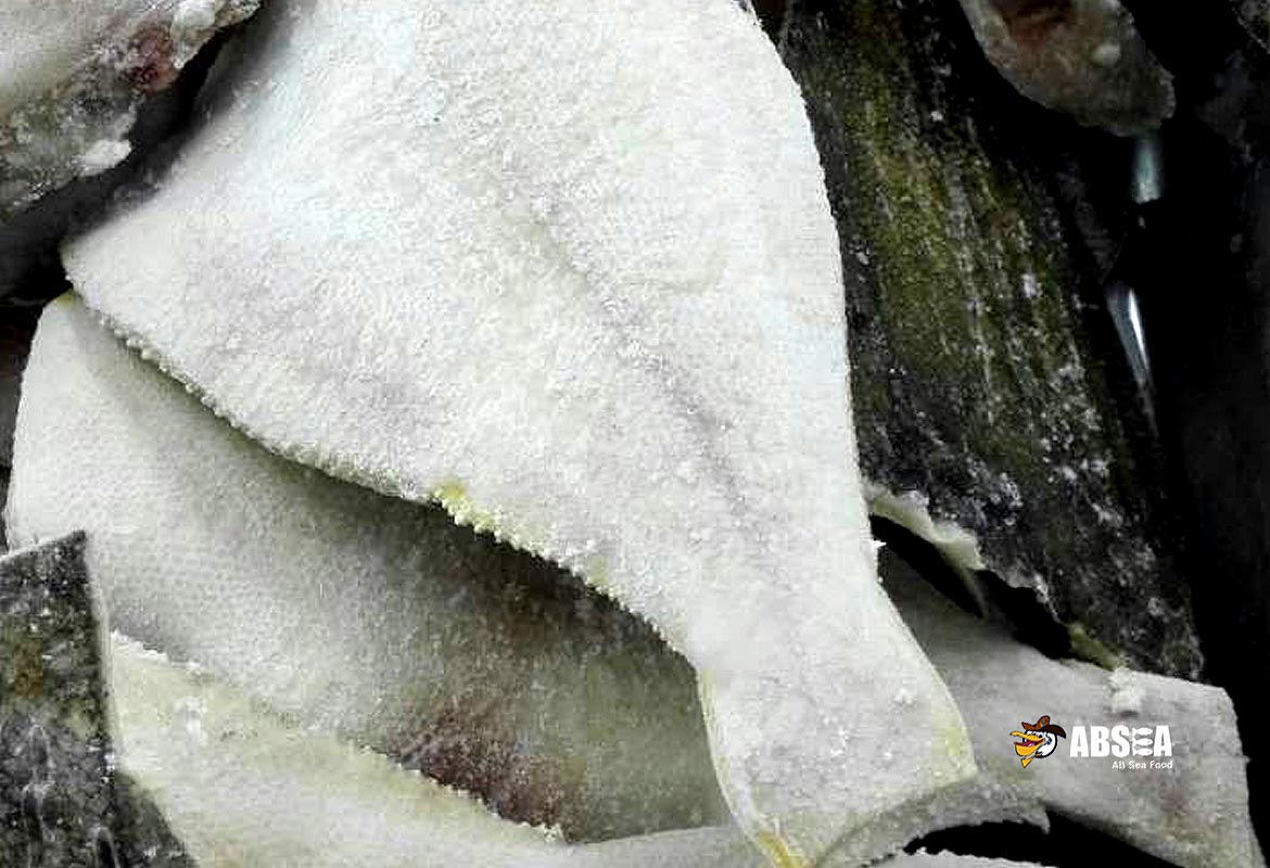 Yellow Fin Sole