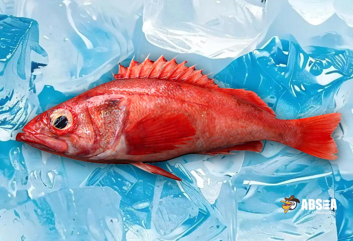Wild Pacific Ocean Perch
