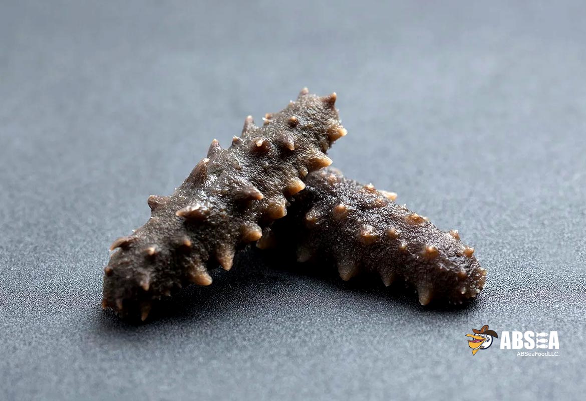 Wild Alaskan Sea Cucumber